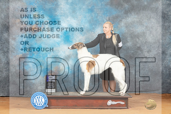 Borzoi #30 Sat WBM Judge Donald Gill__MJ_8172_NRK2023-HR3