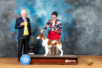 Brittany #5 Mon G3 Judge Ted Eubank