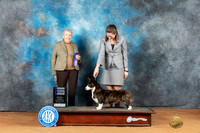 Cardigan Welsh Corgi #24 Mon WB Judge Laurie Telfair