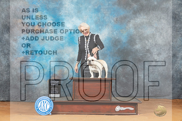 French Bulldog #41 Mon G3 Judge Steve Keating__MJ_8484_NRK2023-HR3