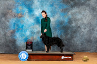 Mudi #5 Mon BOS Judge Mary Napper