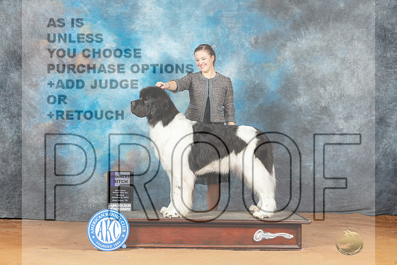 Newfoundland #10 Mon WB Judge Victoria Jordan__MJ_8781_NRK2023-HR3