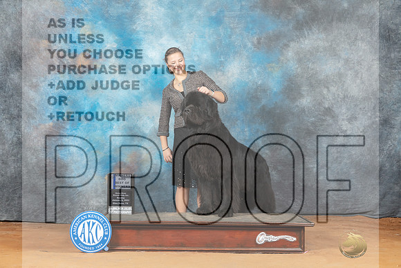 Newfoundland #9 Mon BOW Judge Victoria Jordan__MJ_8777_NRK2023-HR3