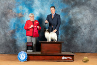 Papillon #5 Mon G2 Judge Laurie Telfair