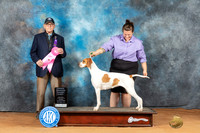 Pointer #14 Mon OHG1 Judge Kim Griffith