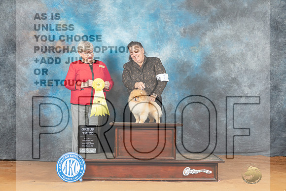 Pomeranian #7 Mon G3 Judge Mary Napper__MJ_8647_NRK2023-HR3
