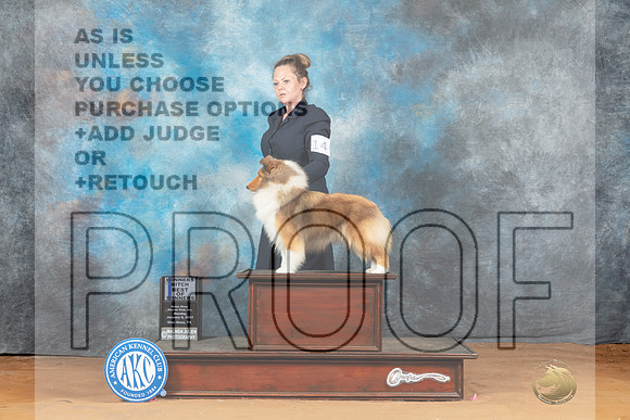 Shetland Sheepdog #14 Mon WB Judge Steve Keating__MJ_8318_NRK2023-HR3
