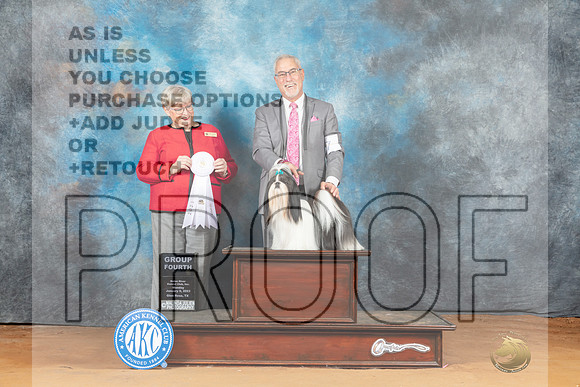 Shih Tzu #7 Mon G4 Judge Mary Napper__MJ_8650_NRK2023-HR3