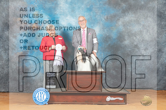 Shih Tzu #7 Mon G4 Judge Mary Napper__MJ_8652_NRK2023-HR3