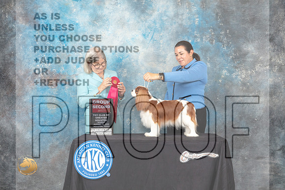 Cavalier King Charles Spaniel #8 Sun G2 Judge Carol Pyrkosz_MJ_0518_HstnTOY_2022_HR3