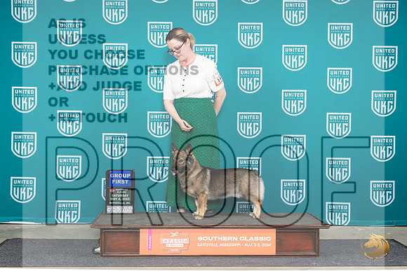 Swedish Vallhund #143 Sat1 G1 Judge Mary Ellen Meyer__JP_6496_BatesvilleMS_2024_HR3