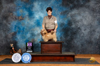Russian Tsvetnaya Bolonka #487 Fri BMISC Judge Anne Barlow