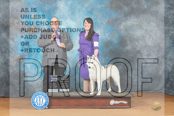 Siberian Husky #10 Sat WB Judge John Lucas r-_MJ_7273e-NRKC2023-HR3