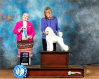 Ann Wheeler NRKC 2023