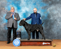 Alicia Cobb NRKC 2023