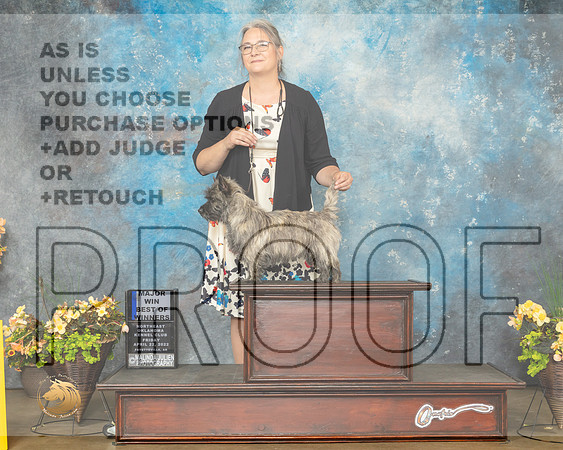 Cairn Terrier #14 Fri BOW Judge John Wade-MMJ_9421-NWARK2022-HR3
