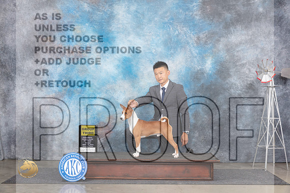 Basenji #5 Fri G4 Judge Ann Roth__JP_5391_Amarillo_2024_HR3