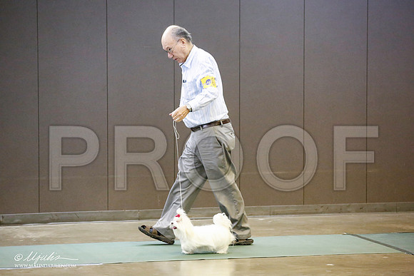 _JN_5745-BeltonJan2015-HR3
