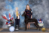 Amber Finkel Ft. Worth Specialties 2026