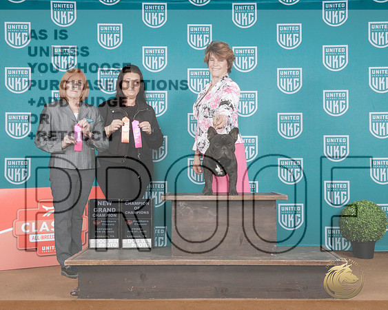 French Bulldog #105 Sun CH NGCH Judge Tami Hayden-_P2_8037e_UKC Southern Classic 2026-HR3