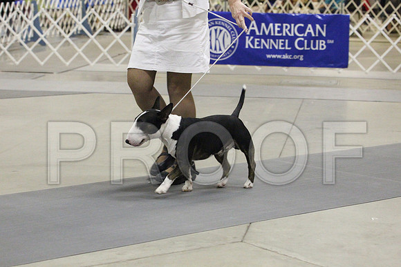 MJS_2645