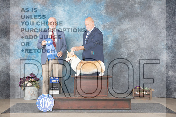 Pembroke Welsh Corgi #6 Sun G1 Judge Eric Liebes__JP_8134_Belton_2024_HR3