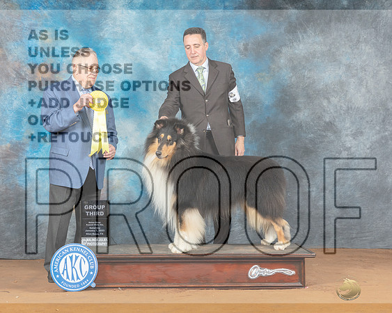 Collie Rough #5 Sata G3 Judge Don Gill-_MJ_6234e-NRKC2023-HR3