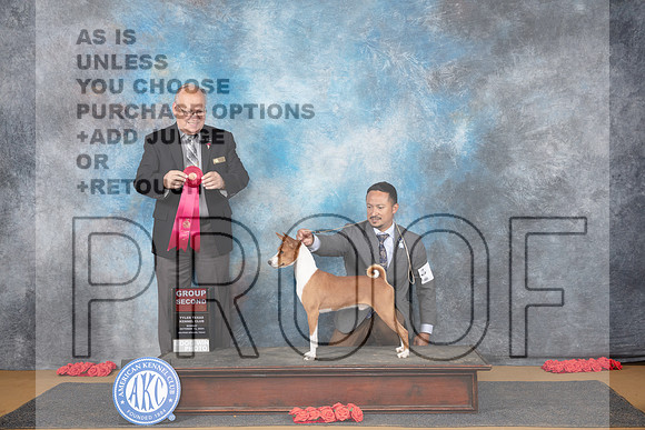 Basenji # Sun G2 Judge Sidney Marx__JP_0860_Sulphur Springs_2024_HR3