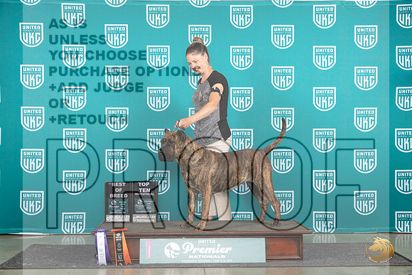 Presa Canario #542 Thur T10BOB FriBOB__JP_1626_Premier_2024_HR3