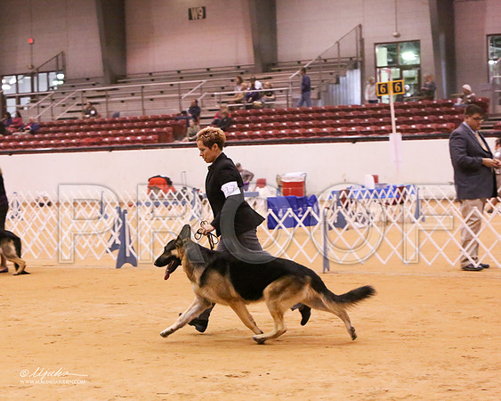 GSD-9371-LR