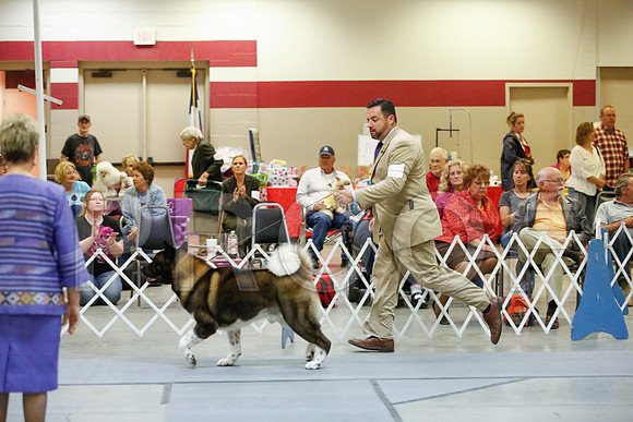 _JJ_0309-AmarilloSept2014-HR3