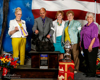 Anita Vanravensway  Scottie AMD 2 PD PU FT