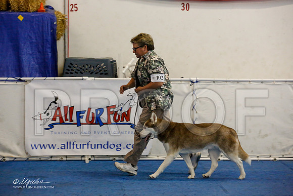 _M3_7837-AddisonHuskyMar2015-HR3
