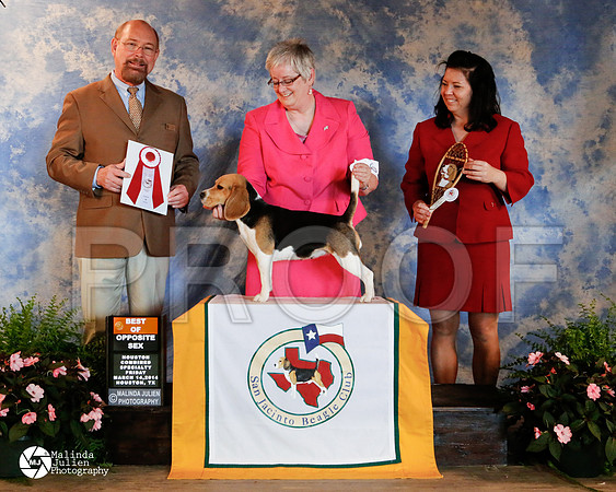 beagle-4993-HstnMar14-HR3