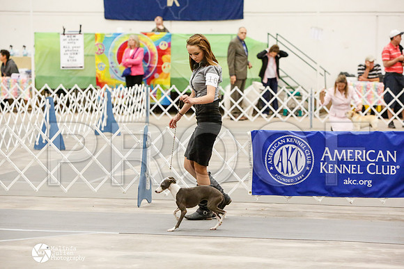 _CK_6071-AblnMay2014-web