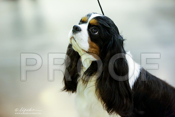 _JJ_7424-HstnJul2014-HR3