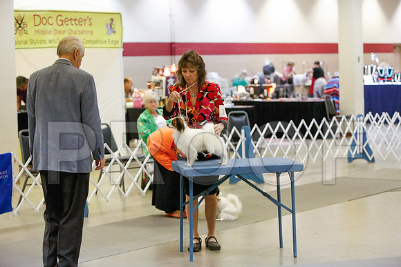 _JJ_1739-AmarilloSept2014-HR3