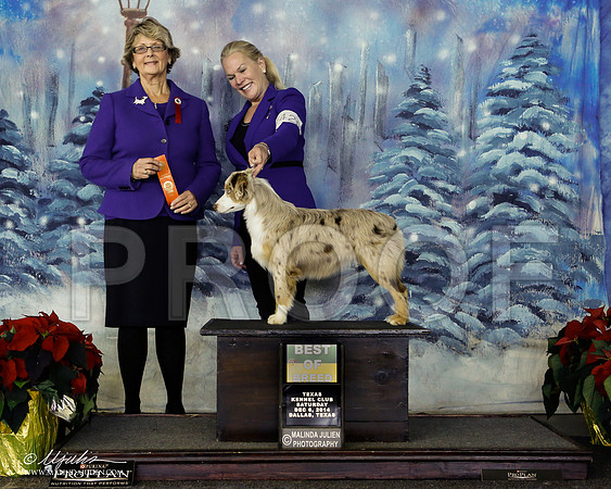 _ST_8710-2-DallasDec2014-HR3