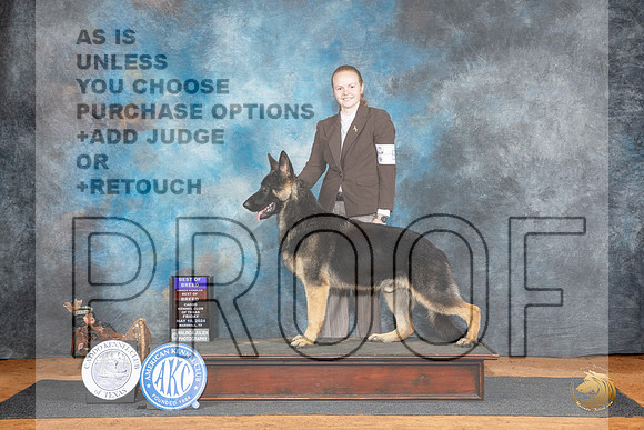 German Shepherd Dog #5 Fri BOBOHBOB Judge Karen Hynek__JP_6902_MARSHALL_2024_HR3