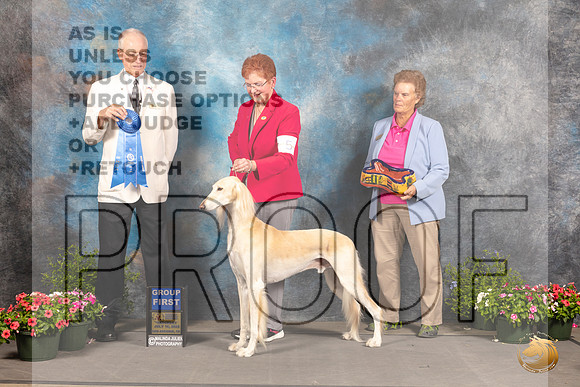 Saluk9 #5 Sta G1 Judge Allen Odom_MJ_0594_SA_2022_HR3