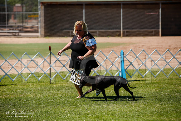_JJ_8384-AlamogordoOct2014-HR3