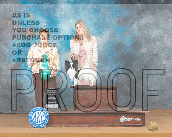 Papillon #11 Sat OHG3 Judge Victoria Jordan-_MJ_6313e-NRKC2023-HR3