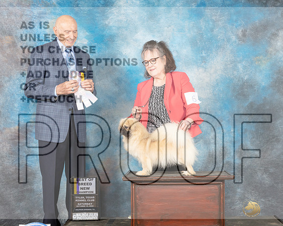 Tibetan Spaniel #6 Sat BOB Judge Gary Sparschu-_MJ_9795-Sulphur Spring2022-HR3