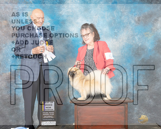 Tibetan Spaniel #6 Sat BOB Judge Gary Sparschu-_MJ_9796-Sulphur Spring2022-HR3