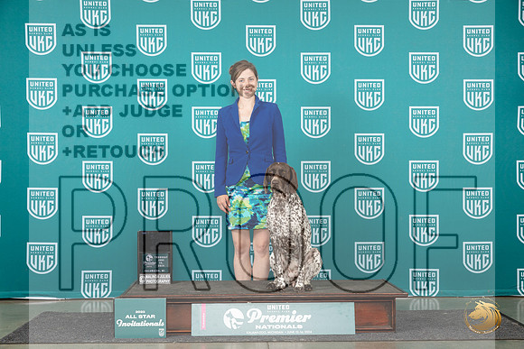 German Shorthaired Pointer #215 Thurs Top10RM 5th Judge Terri Rein__JP_2346_Premier_2024_HR3