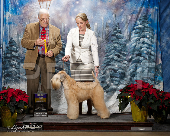 _ST_7984-DallasDec2014-HR3