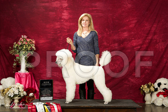 _ST_3003-BeltonJan2015IABCA-HR3