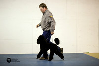 Poodle Standard Sat Ring S1