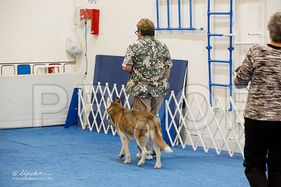 _M3_7833-AddisonHuskyMar2015-HR3