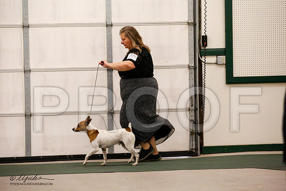 _JN_8872-NrmnNov2014-HR3